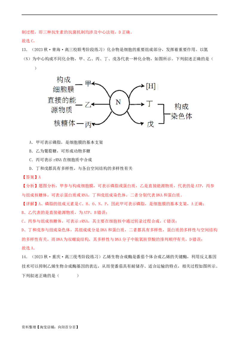 专题综合练06基因的表达(解析版)_新高考复习资料_2024年新高考复习资料_一轮复习资料_完备战2024年高考生物一轮复习考点帮（新高考）_必修2