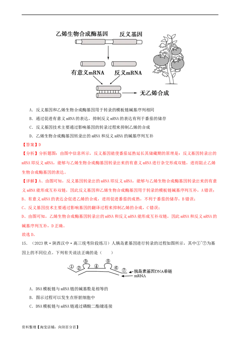 专题综合练06基因的表达(解析版)_新高考复习资料_2024年新高考复习资料_一轮复习资料_完备战2024年高考生物一轮复习考点帮（新高考）_必修2