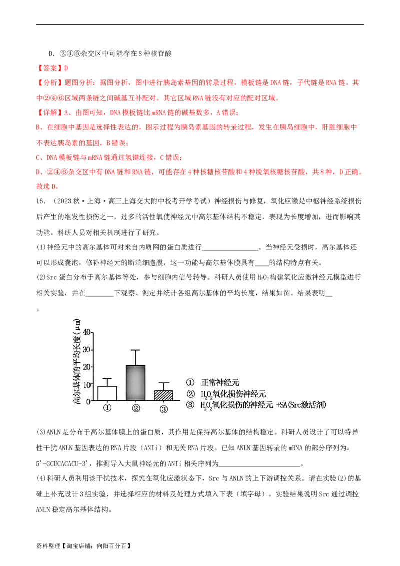 专题综合练06基因的表达(解析版)_新高考复习资料_2024年新高考复习资料_一轮复习资料_完备战2024年高考生物一轮复习考点帮（新高考）_必修2