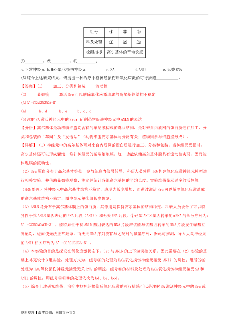 专题综合练06基因的表达(解析版)_新高考复习资料_2024年新高考复习资料_一轮复习资料_完备战2024年高考生物一轮复习考点帮（新高考）_必修2