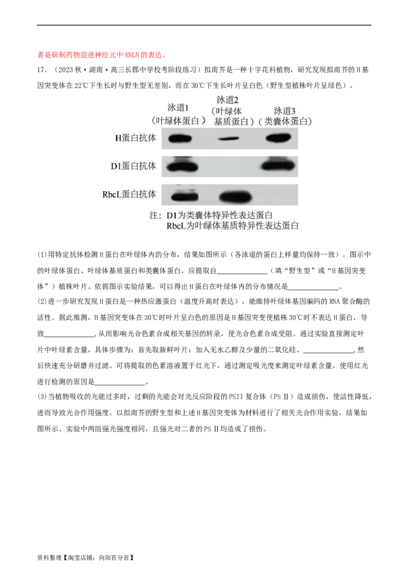 专题综合练06基因的表达(解析版)_新高考复习资料_2024年新高考复习资料_一轮复习资料_完备战2024年高考生物一轮复习考点帮（新高考）_必修2
