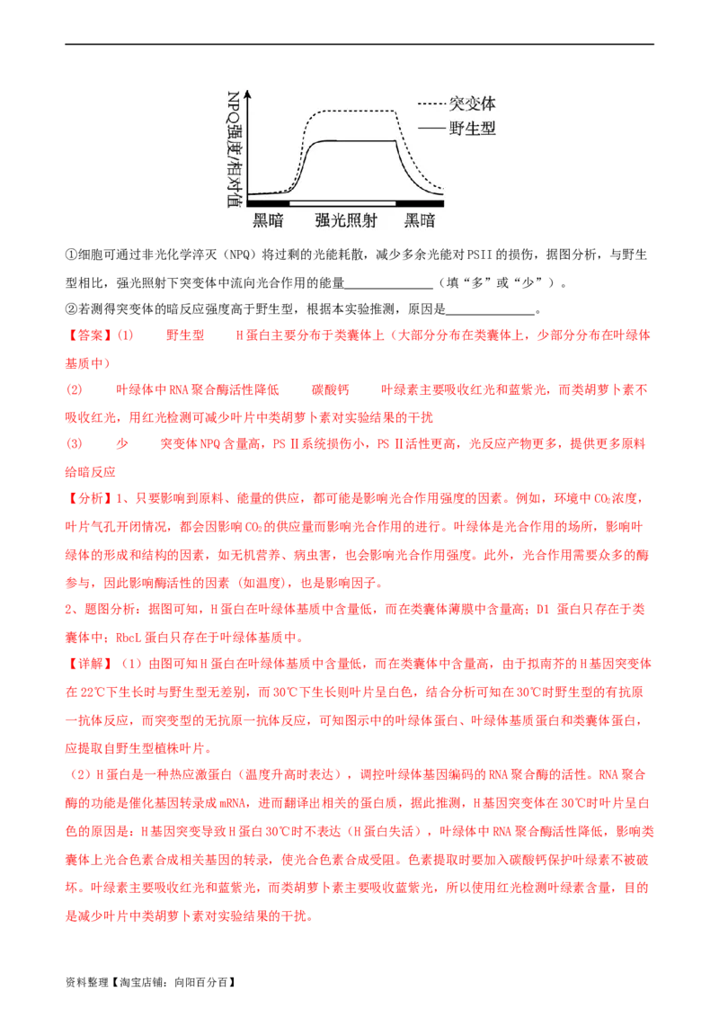 专题综合练06基因的表达(解析版)_新高考复习资料_2024年新高考复习资料_一轮复习资料_完备战2024年高考生物一轮复习考点帮（新高考）_必修2