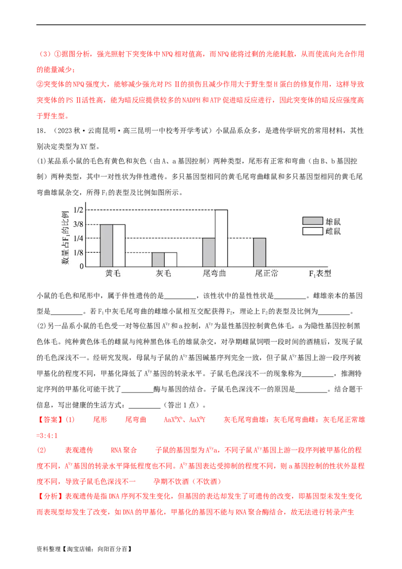 专题综合练06基因的表达(解析版)_新高考复习资料_2024年新高考复习资料_一轮复习资料_完备战2024年高考生物一轮复习考点帮（新高考）_必修2