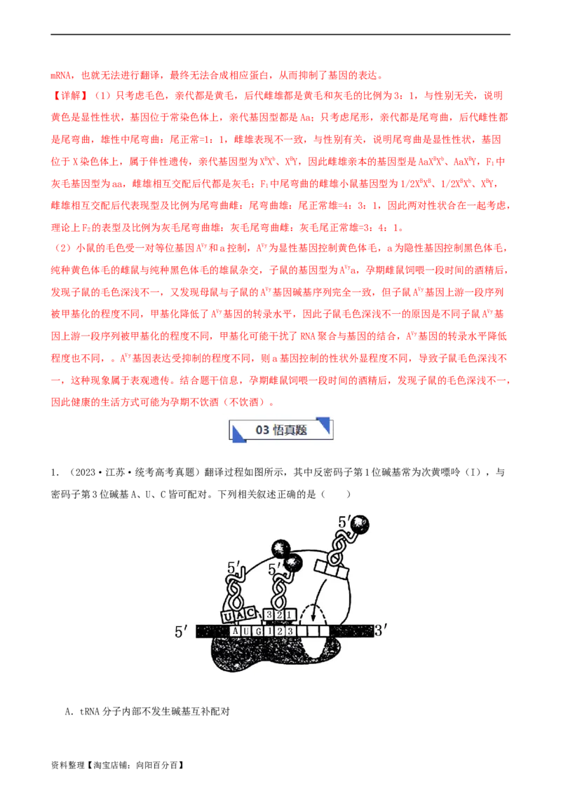 专题综合练06基因的表达(解析版)_新高考复习资料_2024年新高考复习资料_一轮复习资料_完备战2024年高考生物一轮复习考点帮（新高考）_必修2