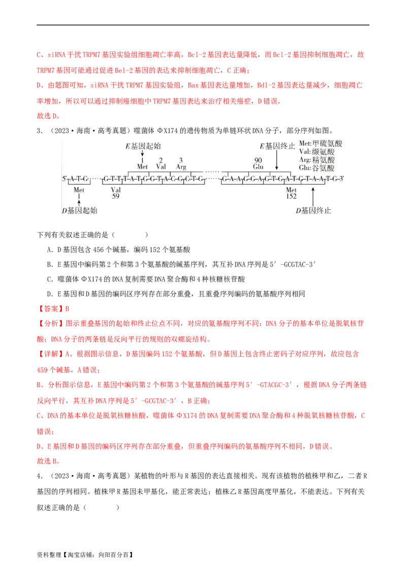 专题综合练06基因的表达(解析版)_新高考复习资料_2024年新高考复习资料_一轮复习资料_完备战2024年高考生物一轮复习考点帮（新高考）_必修2