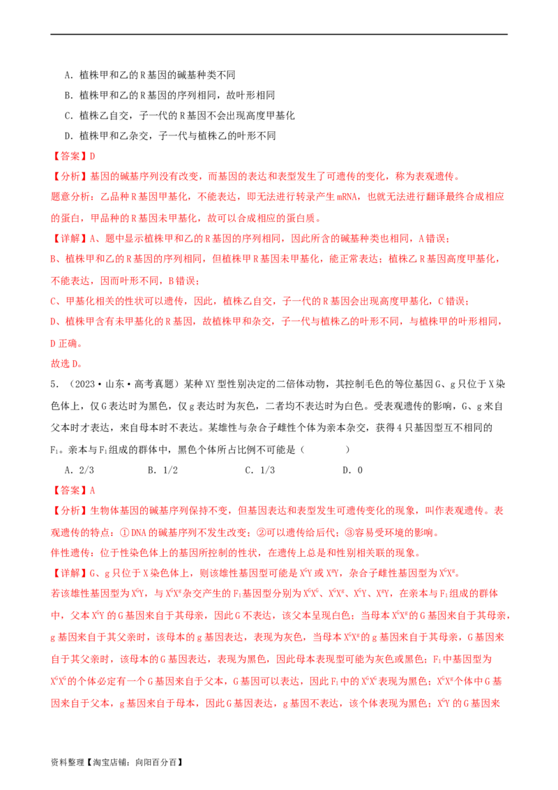 专题综合练06基因的表达(解析版)_新高考复习资料_2024年新高考复习资料_一轮复习资料_完备战2024年高考生物一轮复习考点帮（新高考）_必修2