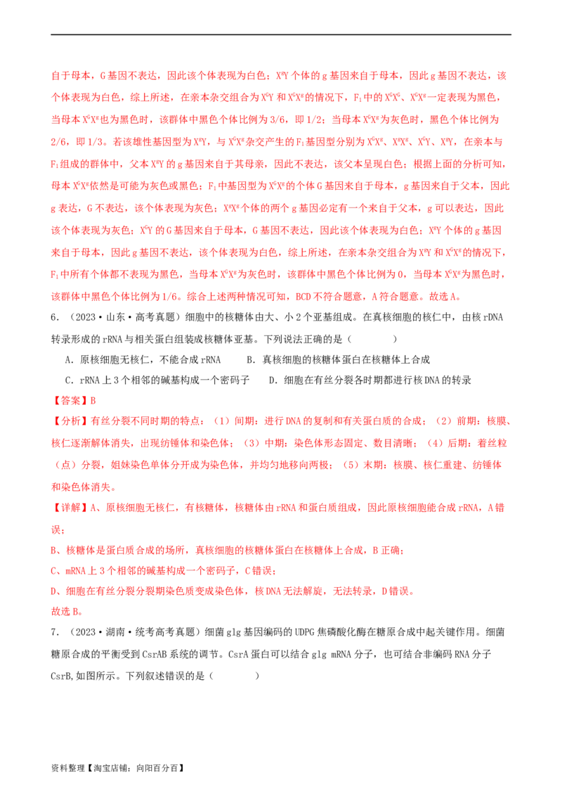 专题综合练06基因的表达(解析版)_新高考复习资料_2024年新高考复习资料_一轮复习资料_完备战2024年高考生物一轮复习考点帮（新高考）_必修2