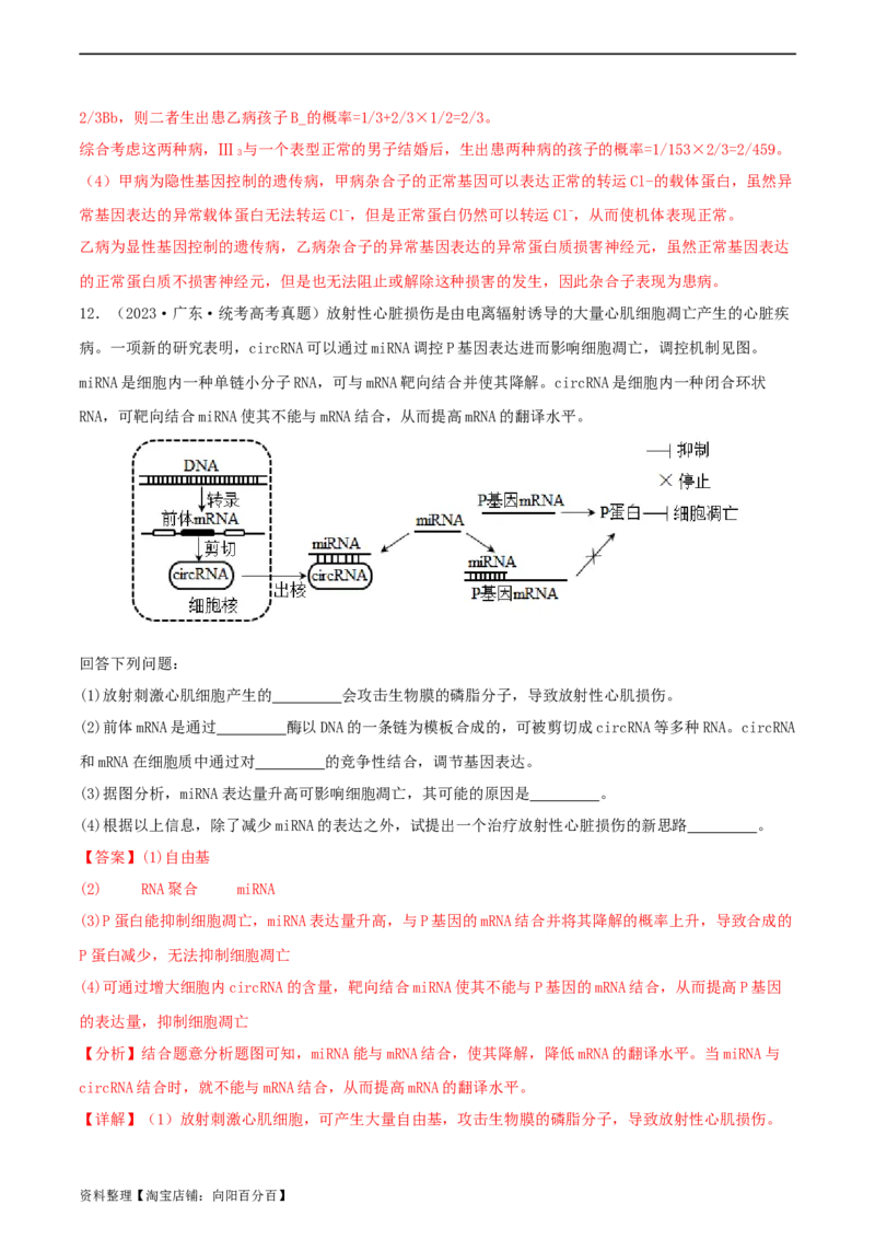 专题综合练06基因的表达(解析版)_新高考复习资料_2024年新高考复习资料_一轮复习资料_完备战2024年高考生物一轮复习考点帮（新高考）_必修2