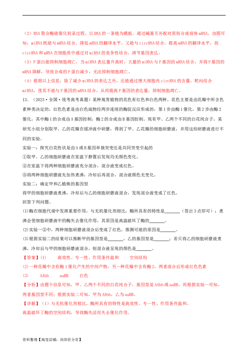 专题综合练06基因的表达(解析版)_新高考复习资料_2024年新高考复习资料_一轮复习资料_完备战2024年高考生物一轮复习考点帮（新高考）_必修2