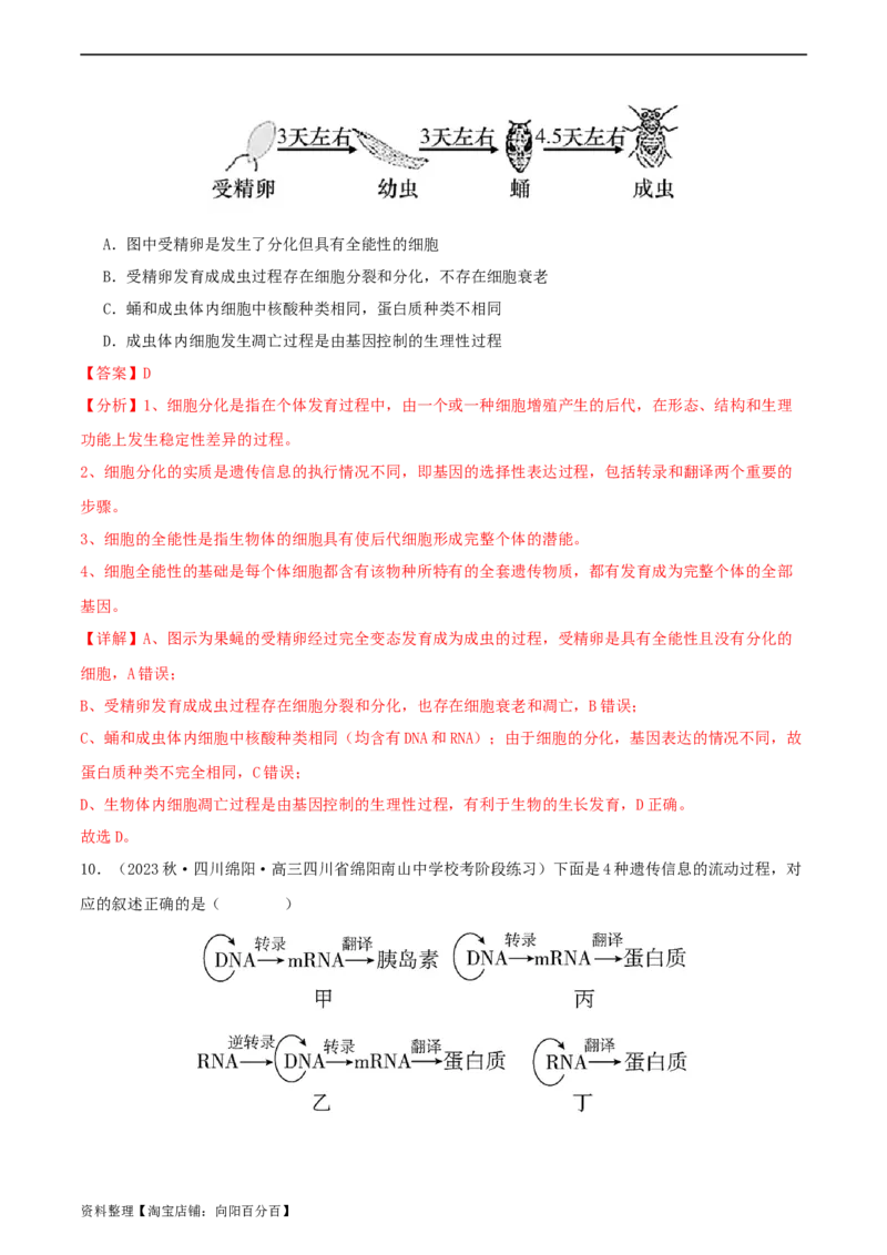 专题综合练06基因的表达(解析版)_新高考复习资料_2024年新高考复习资料_一轮复习资料_完备战2024年高考生物一轮复习考点帮（新高考）_必修2