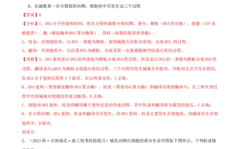 专题综合练06基因的表达(解析版)_新高考复习资料_2024年新高考复习资料_一轮复习资料_完备战2024年高考生物一轮复习考点帮（新高考）_必修2