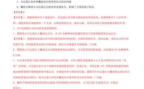 专题综合练06基因的表达(解析版)_新高考复习资料_2024年新高考复习资料_一轮复习资料_完备战2024年高考生物一轮复习考点帮（新高考）_必修2