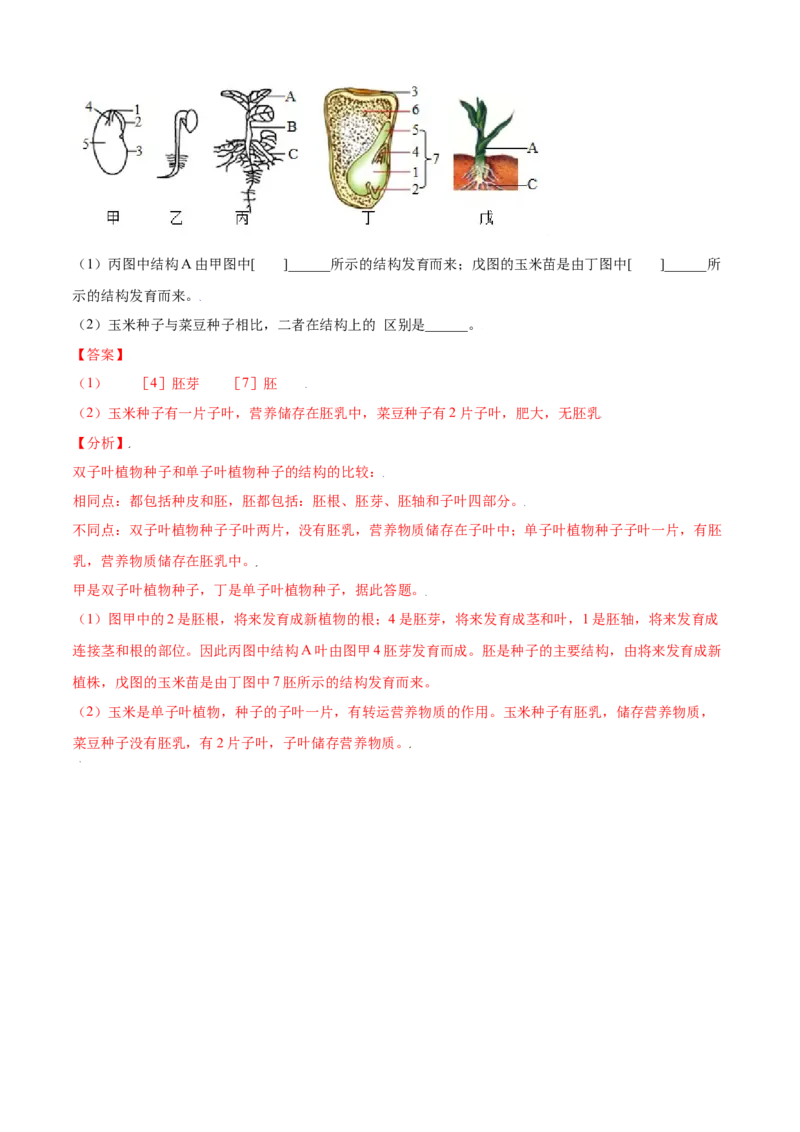 必考点16种子的萌发-（人教版）（解析版）_初中全科电子版试卷练习试题_生物_生物人教版7上练习&mdash;24新版已更新_人教生物7年级上专项练习28份