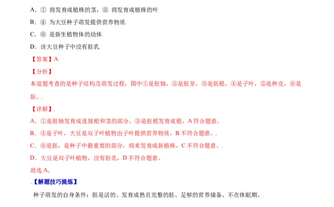 必考点16种子的萌发-（人教版）（解析版）_初中全科电子版试卷练习试题_生物_生物人教版7上练习&mdash;24新版已更新_人教生物7年级上专项练习28份