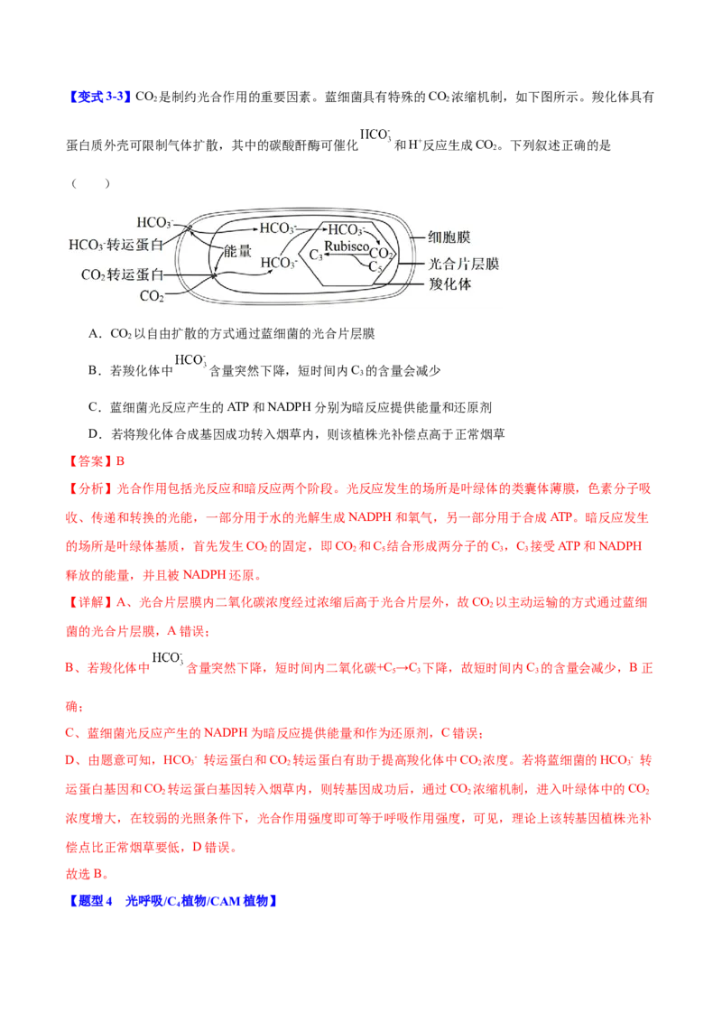 专题二细胞代谢（解析版）_2025年新高考资料_二轮复习_01高考语文等多个文件_举一反三2025年高考生物二轮重点专题讲义（新高考通用）