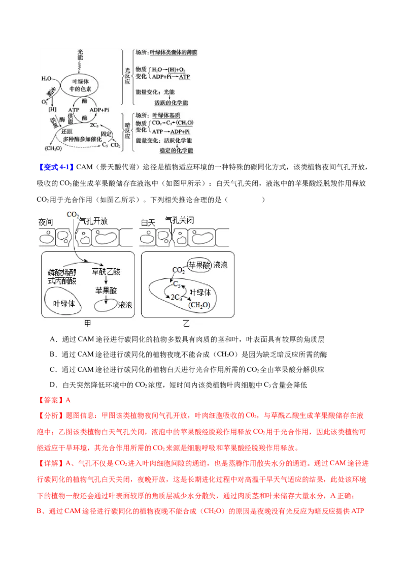 专题二细胞代谢（解析版）_2025年新高考资料_二轮复习_01高考语文等多个文件_举一反三2025年高考生物二轮重点专题讲义（新高考通用）