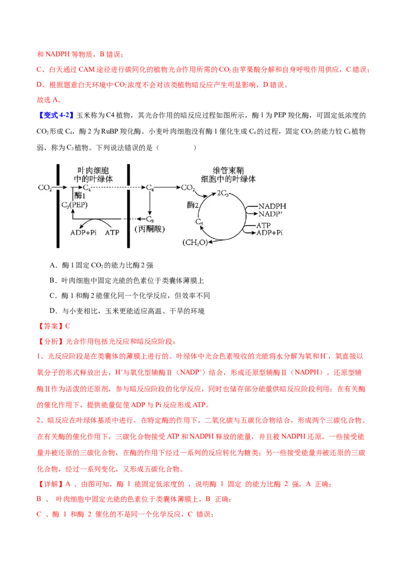 专题二细胞代谢（解析版）_2025年新高考资料_二轮复习_01高考语文等多个文件_举一反三2025年高考生物二轮重点专题讲义（新高考通用）