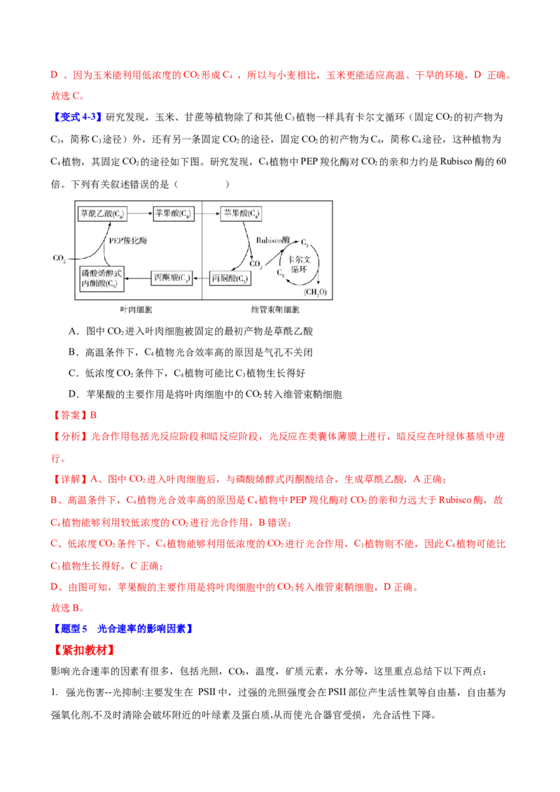 专题二细胞代谢（解析版）_2025年新高考资料_二轮复习_01高考语文等多个文件_举一反三2025年高考生物二轮重点专题讲义（新高考通用）