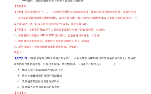 专题二细胞代谢（解析版）_2025年新高考资料_二轮复习_01高考语文等多个文件_举一反三2025年高考生物二轮重点专题讲义（新高考通用）