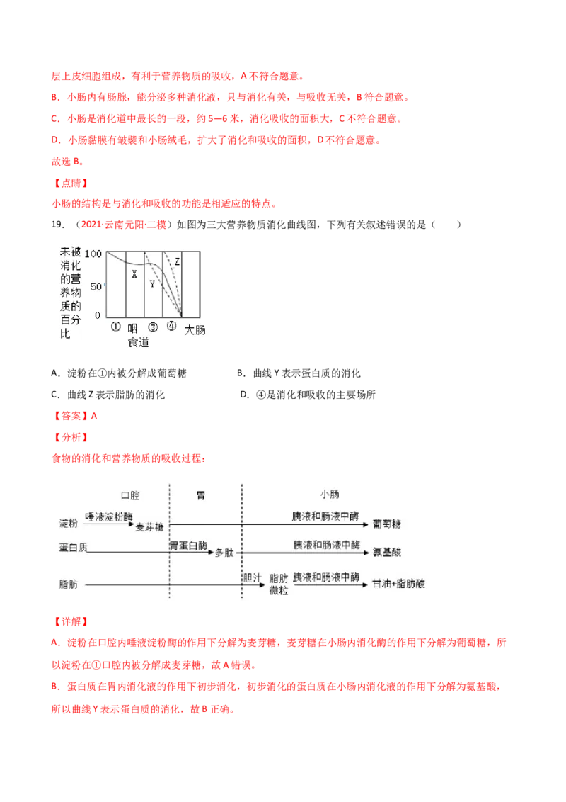 第一次月考（B卷&middot;提升能力）（解析版）_初中全科电子版试卷练习试题_生物_生物人教版7下练习_人教生物7年级下月考试卷04份