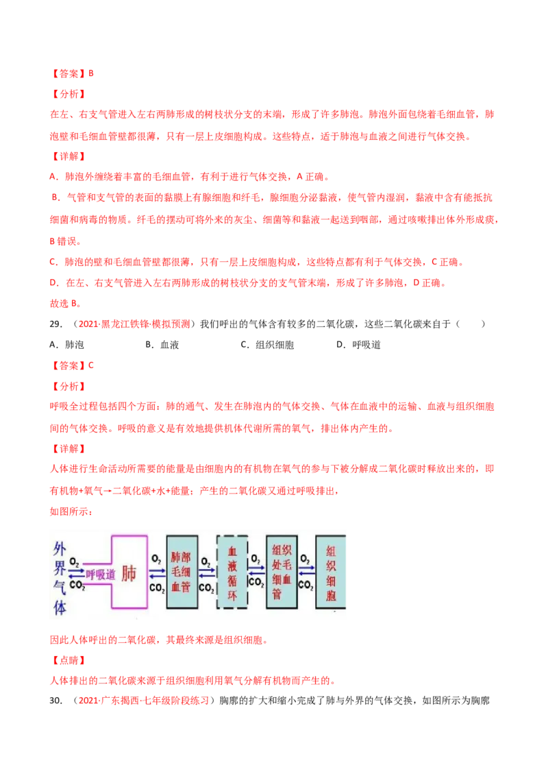 第一次月考（B卷&middot;提升能力）（解析版）_初中全科电子版试卷练习试题_生物_生物人教版7下练习_人教生物7年级下月考试卷04份