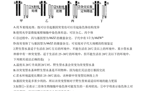 专题8生物的变异与进化（选择题）&mdash;&mdash;2025届高考生物学模块分练新高考版（含解析）_2025年新高考资料_二轮复习_新高考版2025届高考生物学模块分练选择题与非选择题（含解析）