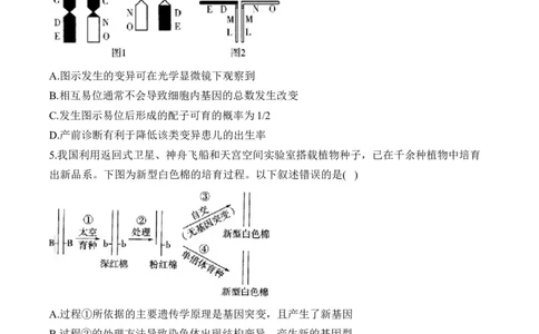 专题8生物的变异与进化（选择题）&mdash;&mdash;2025届高考生物学模块分练新高考版（含解析）_2025年新高考资料_二轮复习_新高考版2025届高考生物学模块分练选择题与非选择题（含解析）