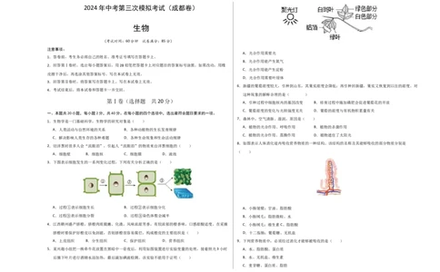 生物（四川成都卷）（考试版A3）_初中全科电子版试卷练习试题_生物_2024中考模拟题生物(1)_三模（37套）_生物（四川成都卷）