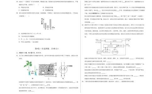 生物（四川成都卷）（考试版A3）_初中全科电子版试卷练习试题_生物_2024中考模拟题生物(1)_三模（37套）_生物（四川成都卷）