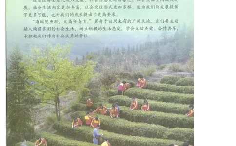统编版道德与法治八年级上册电子课本_初中电子课本_6.道德与法治