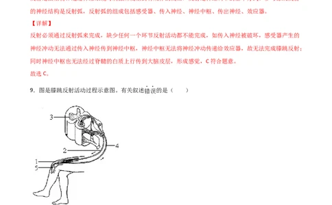 探究题06膝跳反射和测定反应速率-七年级生物下册教材实验探究必刷题（人教版）（解析版）_初中全科电子版试卷练习试题_生物_生物人教版7下练习
