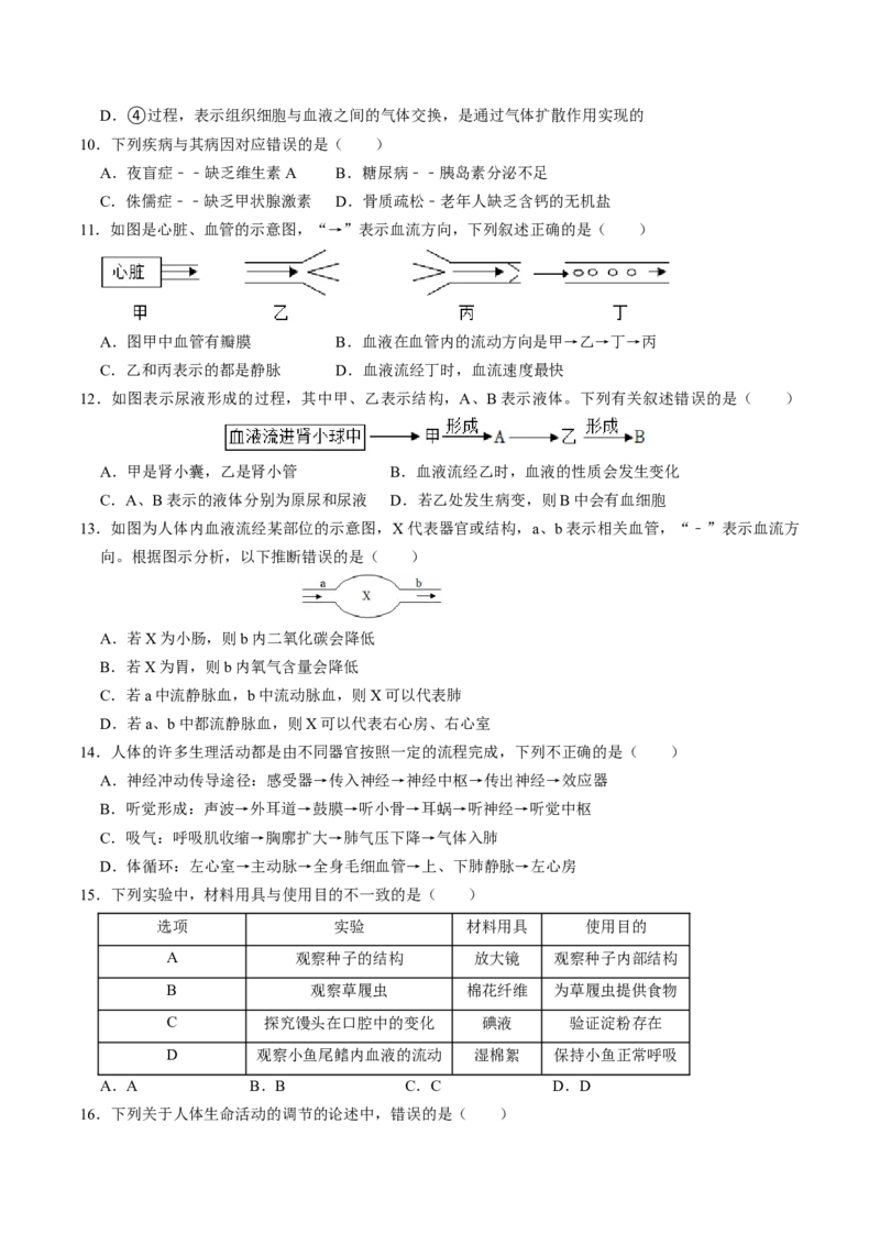 生物（济南卷）（考试版A4）_初中全科电子版试卷练习试题_生物_2024中考模拟题生物(1)_一模_生物（济南卷）-2024年中考第一次模拟考试