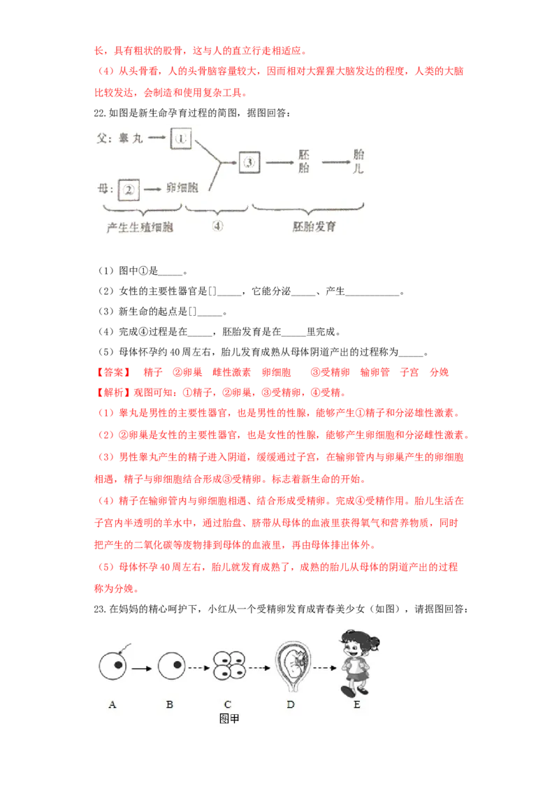 第一章人的由来（基础过关）-（人教版）（解析版）_初中全科电子版试卷练习试题_生物_生物人教版7下练习_人教生物7年级下单元试卷33份