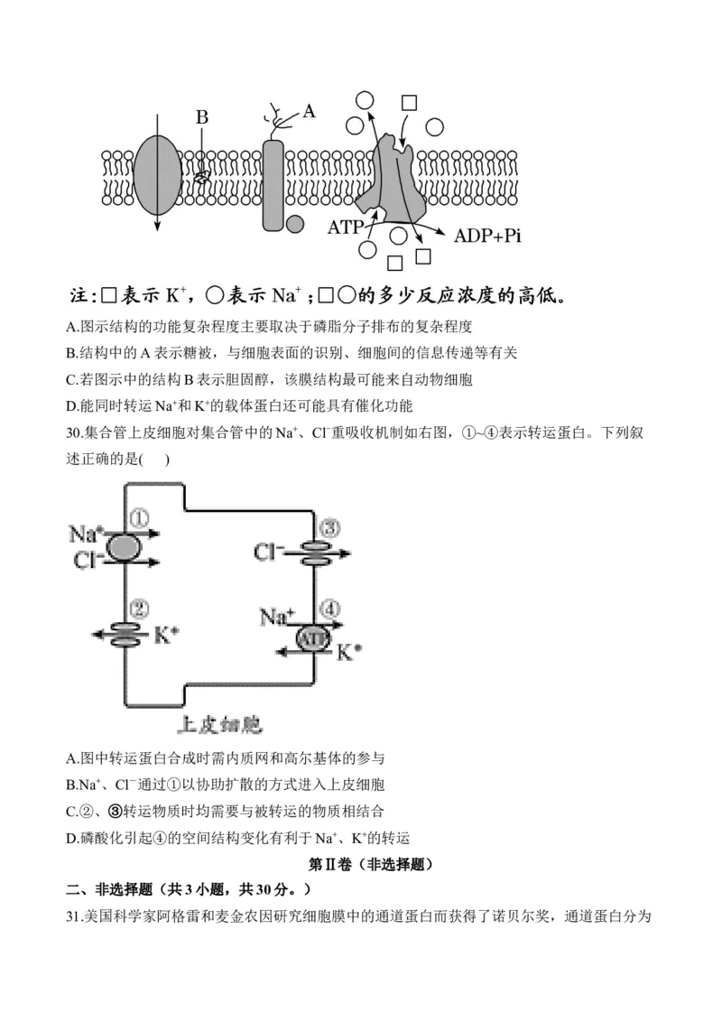 专题三物质出入细胞的方式&mdash;&mdash;2025届高考生物考点剖析（含解析）_2025年新高考资料_一轮复习_2025届高考生物一轮复习考点剖析练习（有解析）