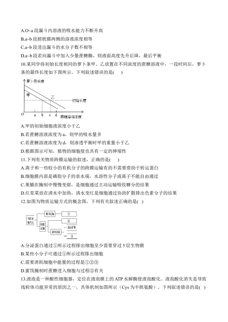 专题三物质出入细胞的方式&mdash;&mdash;2025届高考生物考点剖析（含解析）_2025年新高考资料_一轮复习_2025届高考生物一轮复习考点剖析练习（有解析）