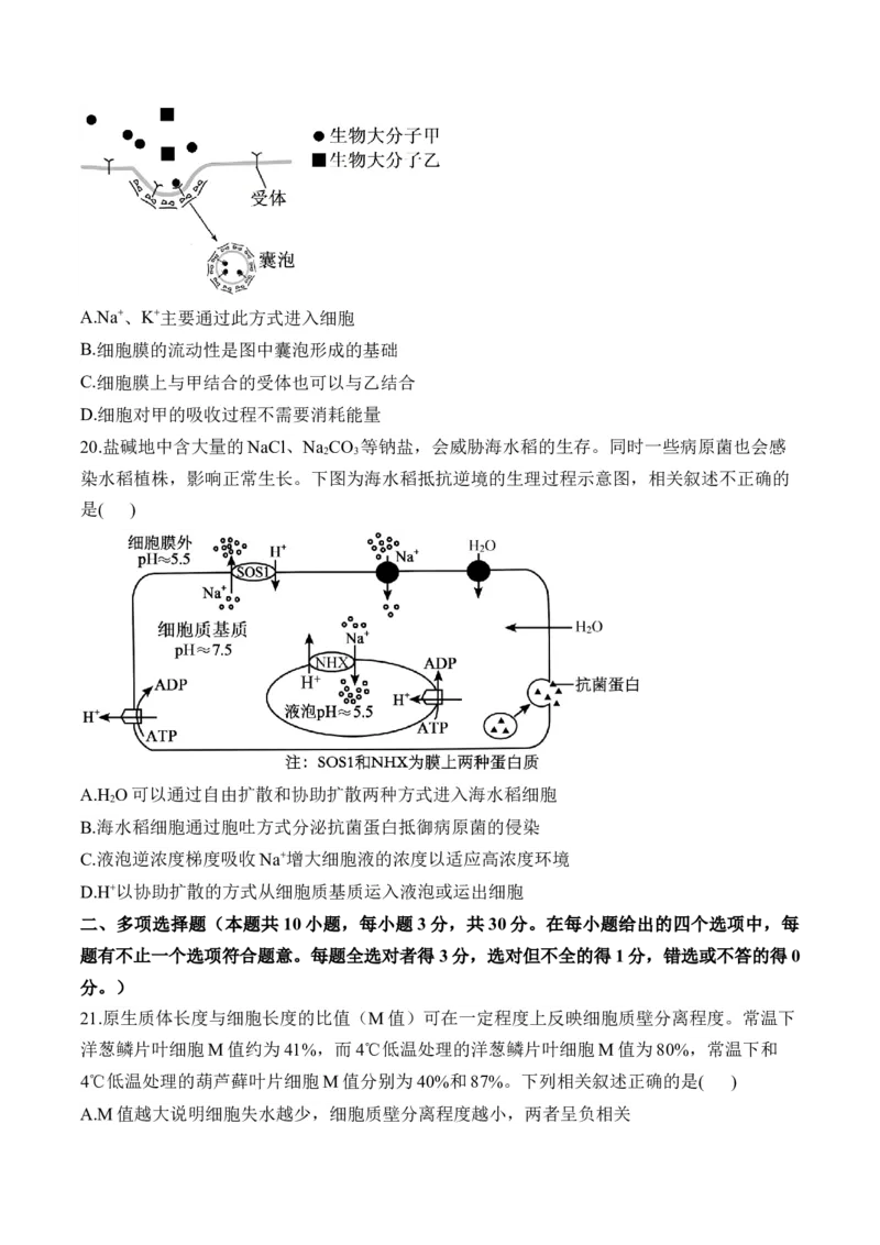 专题三物质出入细胞的方式&mdash;&mdash;2025届高考生物考点剖析（含解析）_2025年新高考资料_一轮复习_2025届高考生物一轮复习考点剖析练习（有解析）