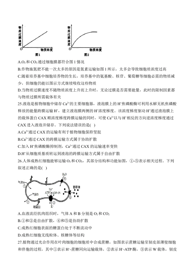 专题三物质出入细胞的方式&mdash;&mdash;2025届高考生物考点剖析（含解析）_2025年新高考资料_一轮复习_2025届高考生物一轮复习考点剖析练习（有解析）