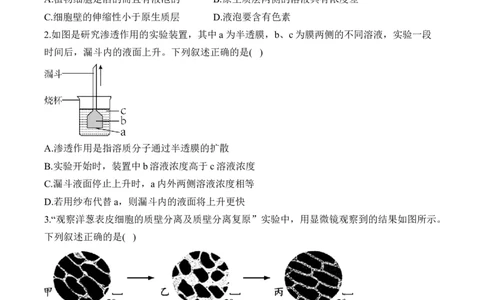 专题三物质出入细胞的方式&mdash;&mdash;2025届高考生物考点剖析（含解析）_2025年新高考资料_一轮复习_2025届高考生物一轮复习考点剖析练习（有解析）