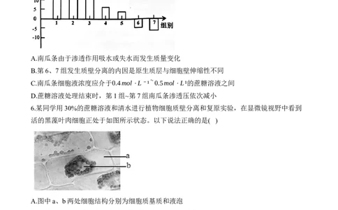 专题三物质出入细胞的方式&mdash;&mdash;2025届高考生物考点剖析（含解析）_2025年新高考资料_一轮复习_2025届高考生物一轮复习考点剖析练习（有解析）