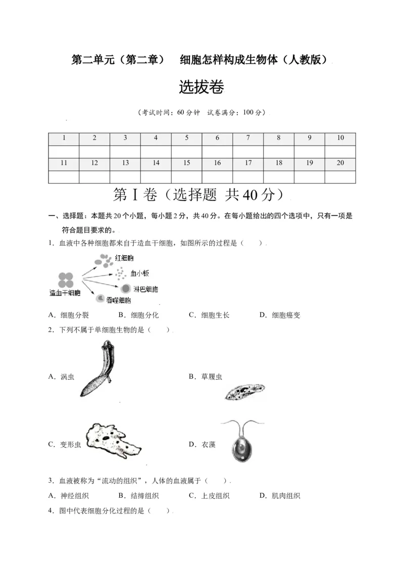 第2单元（第2章）细胞怎样构成生物体（选拔卷）（人教版）（原卷版）_初中全科电子版试卷练习试题_生物_生物人教版7上练习&mdash;24新版已更新_人教生物7年级上单元试卷36份
