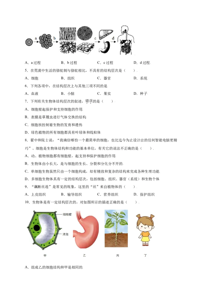 第2单元（第2章）细胞怎样构成生物体（选拔卷）（人教版）（原卷版）_初中全科电子版试卷练习试题_生物_生物人教版7上练习&mdash;24新版已更新_人教生物7年级上单元试卷36份