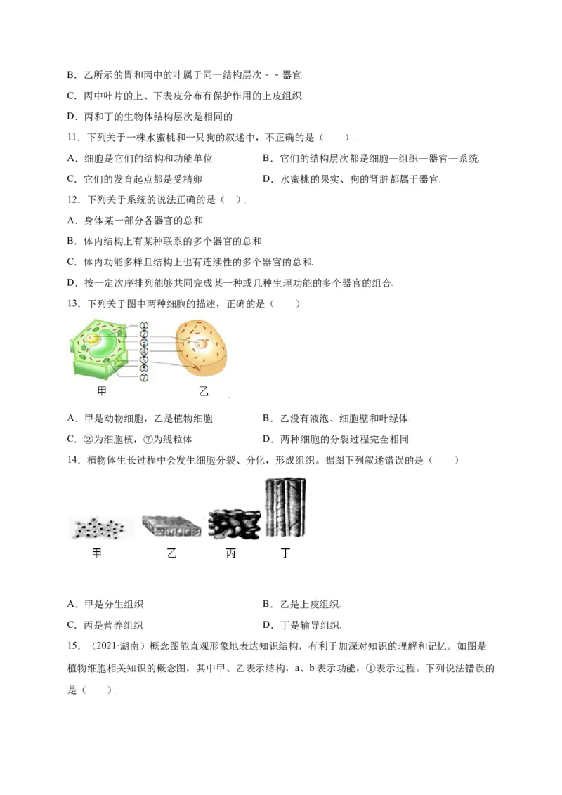第2单元（第2章）细胞怎样构成生物体（选拔卷）（人教版）（原卷版）_初中全科电子版试卷练习试题_生物_生物人教版7上练习&mdash;24新版已更新_人教生物7年级上单元试卷36份