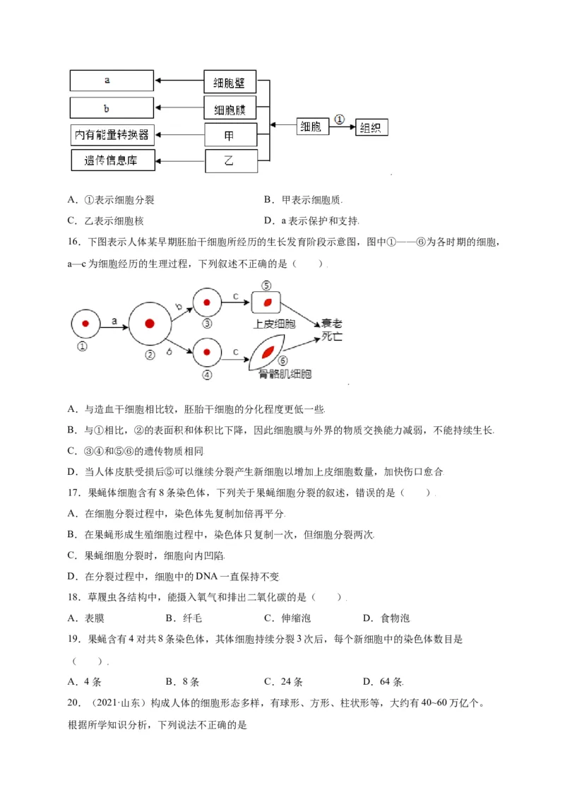 第2单元（第2章）细胞怎样构成生物体（选拔卷）（人教版）（原卷版）_初中全科电子版试卷练习试题_生物_生物人教版7上练习&mdash;24新版已更新_人教生物7年级上单元试卷36份
