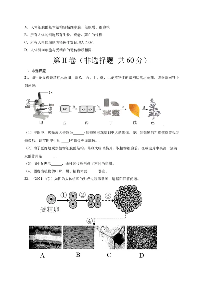 第2单元（第2章）细胞怎样构成生物体（选拔卷）（人教版）（原卷版）_初中全科电子版试卷练习试题_生物_生物人教版7上练习&mdash;24新版已更新_人教生物7年级上单元试卷36份