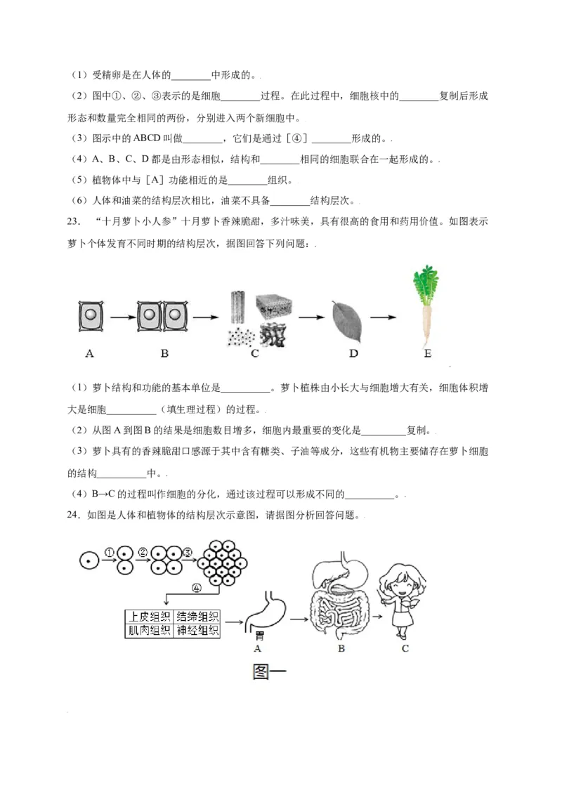 第2单元（第2章）细胞怎样构成生物体（选拔卷）（人教版）（原卷版）_初中全科电子版试卷练习试题_生物_生物人教版7上练习&mdash;24新版已更新_人教生物7年级上单元试卷36份