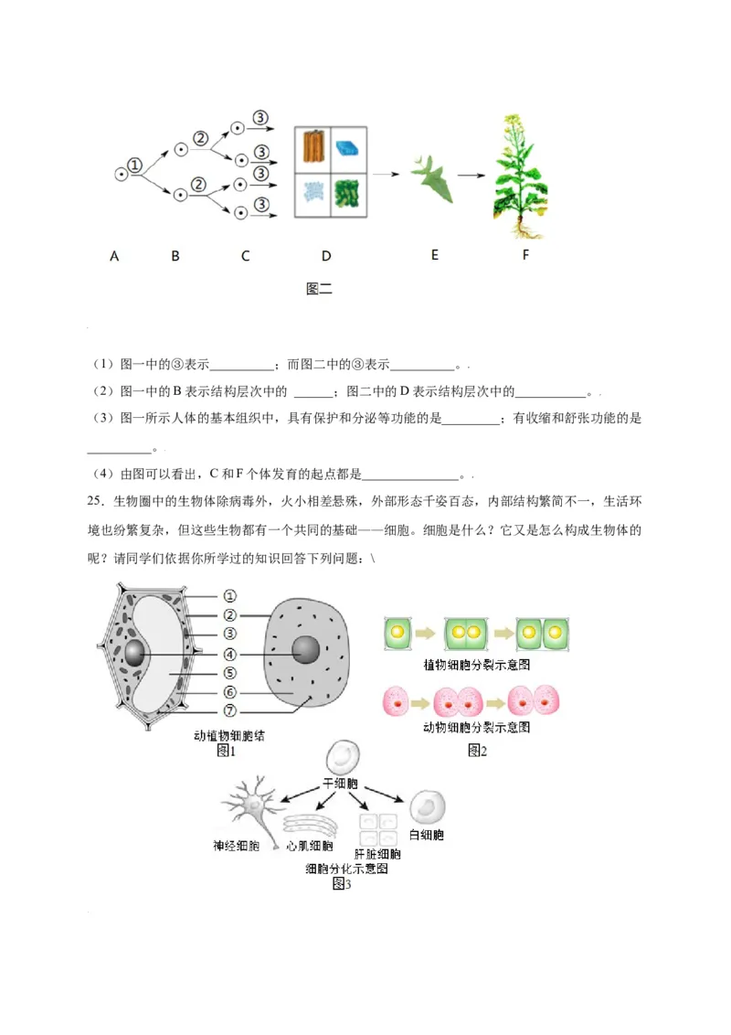第2单元（第2章）细胞怎样构成生物体（选拔卷）（人教版）（原卷版）_初中全科电子版试卷练习试题_生物_生物人教版7上练习&mdash;24新版已更新_人教生物7年级上单元试卷36份