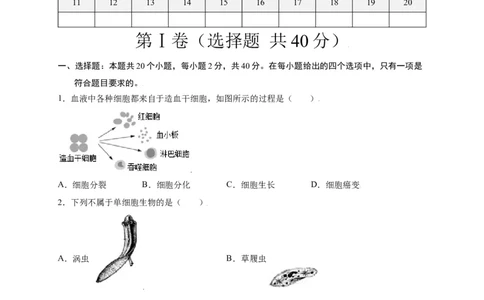 第2单元（第2章）细胞怎样构成生物体（选拔卷）（人教版）（原卷版）_初中全科电子版试卷练习试题_生物_生物人教版7上练习&mdash;24新版已更新_人教生物7年级上单元试卷36份