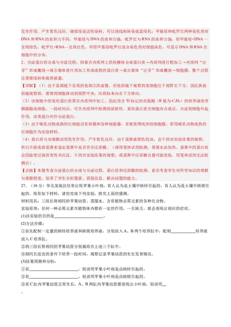 单元检测卷01细胞的概述及其分子组成（解析版）_新高考复习资料_2025年新高考资料_2025年高考生物一轮复习考点通关卷（新高考通用）