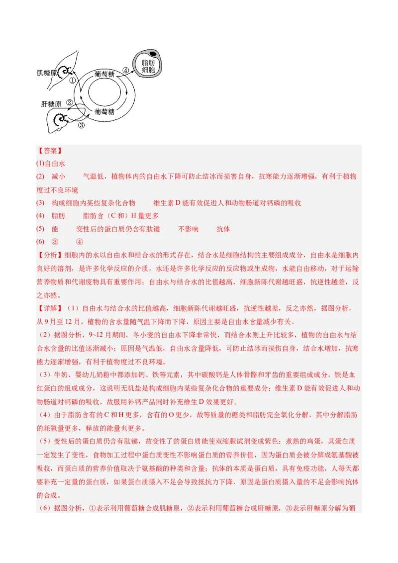 单元检测卷01细胞的概述及其分子组成（解析版）_新高考复习资料_2025年新高考资料_2025年高考生物一轮复习考点通关卷（新高考通用）