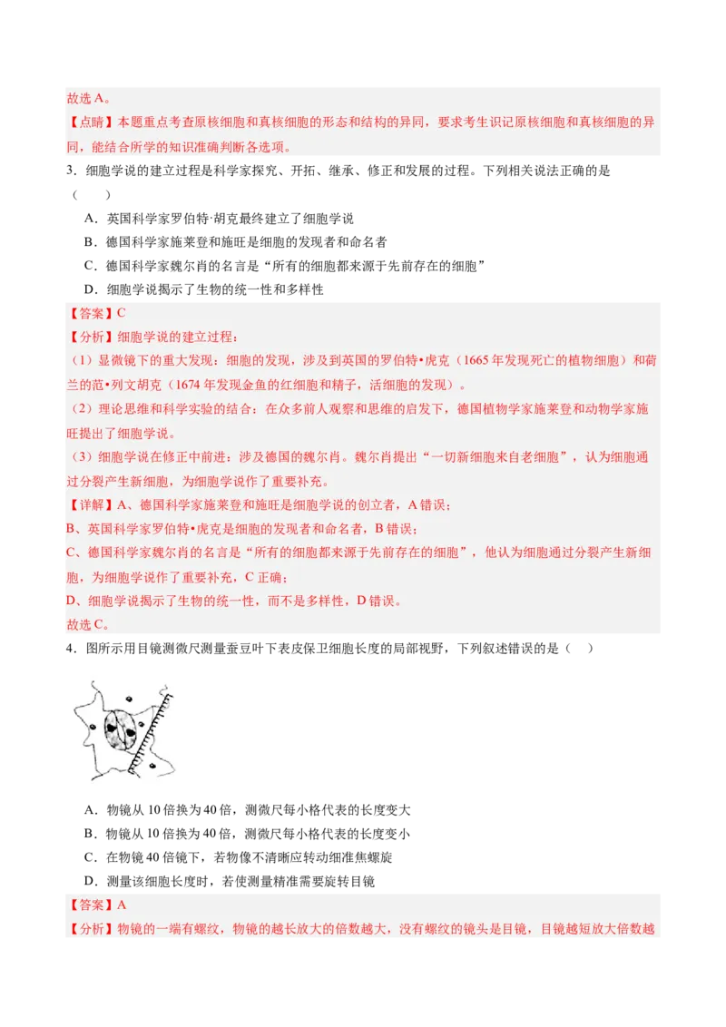 单元检测卷01细胞的概述及其分子组成（解析版）_新高考复习资料_2025年新高考资料_2025年高考生物一轮复习考点通关卷（新高考通用）